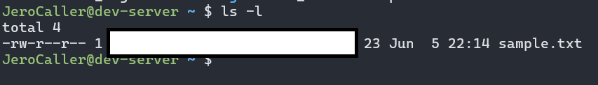 사진 2-3. 앞서 생성한 `sample.txt` 파일의 정보. 