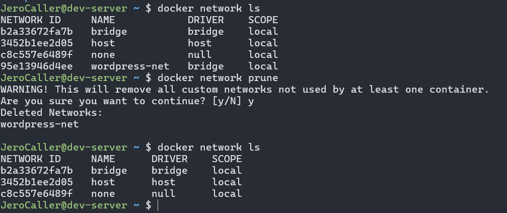사진 2-2. `docker network prune` 명령어를 통해 사용되지 않는 네트워크들을 모두 삭제한 모습.